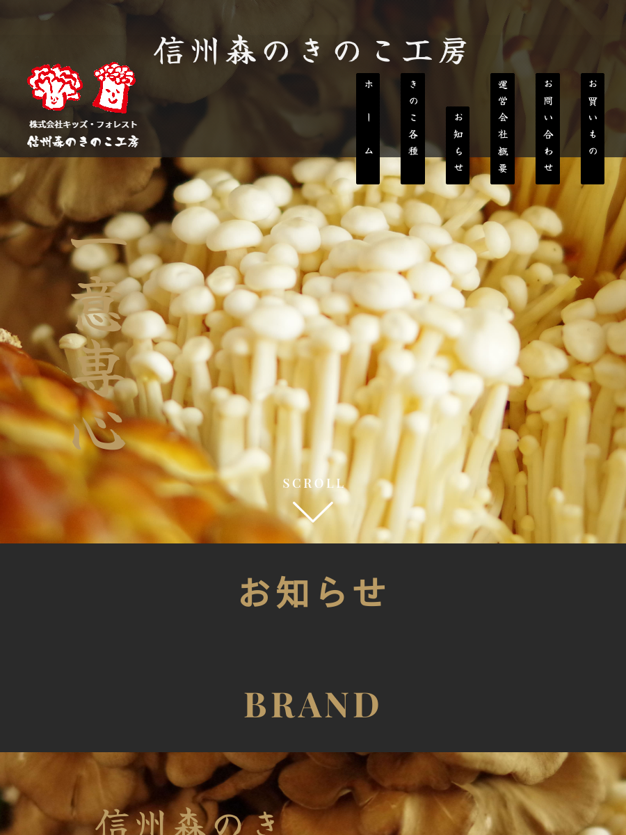 株式会社キッズ・フォレスト